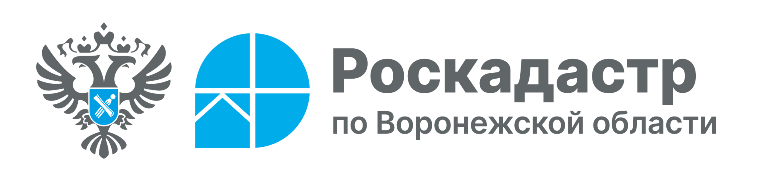 Тонкости межевания земельных участков.