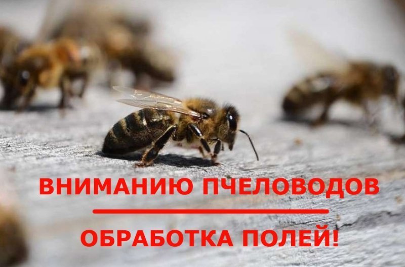 Внимание пчеловоды!Обработка полей!.