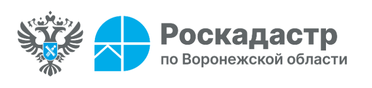 Получение сведения о недвижимости со скидкой 50%. Получение сведения о недвижимости со скидкой 50%.